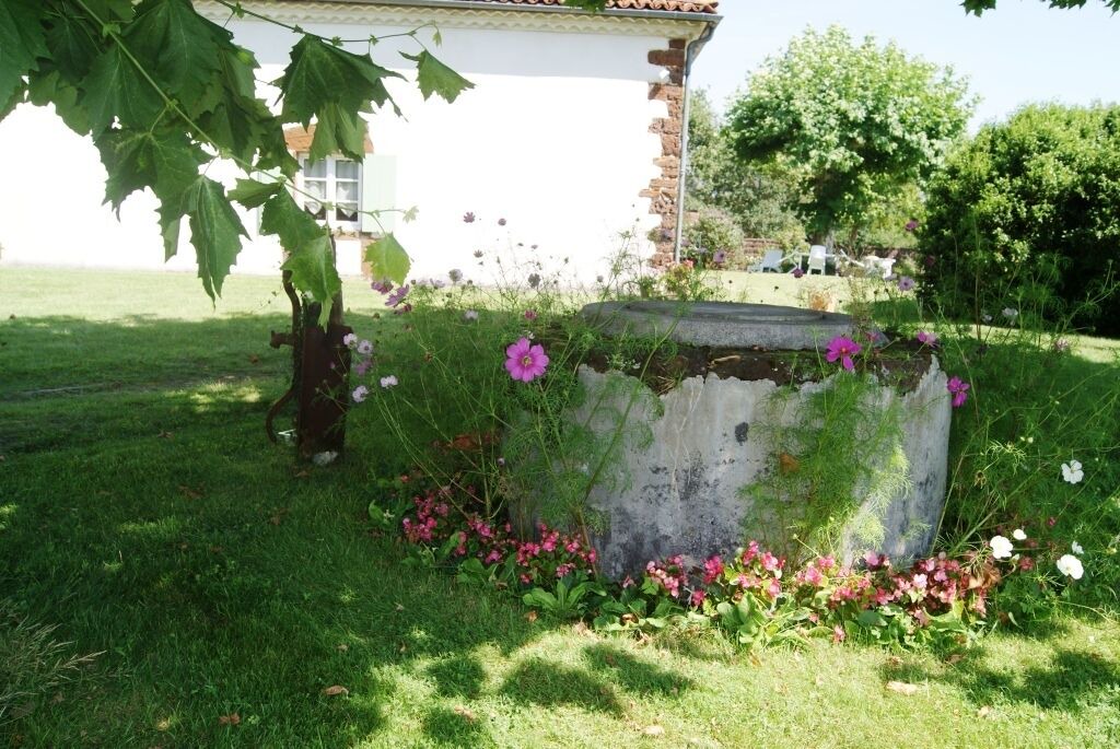 Photo of Outdoor in Pissos