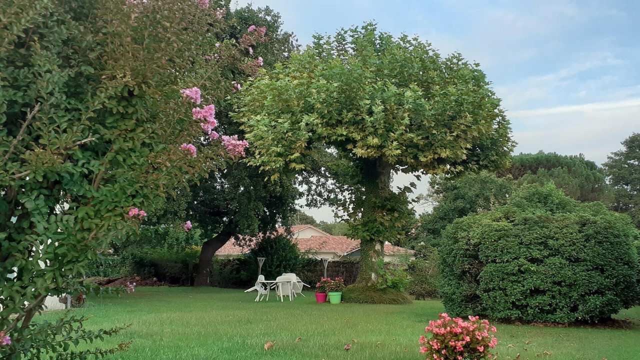 Photo of Outdoor in Pissos