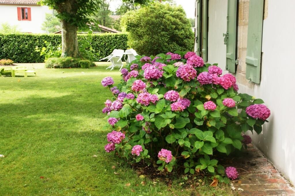 Photo of Outdoor in Pissos