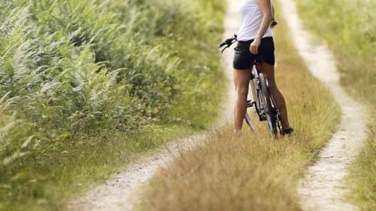 Photo of Others in Pissos