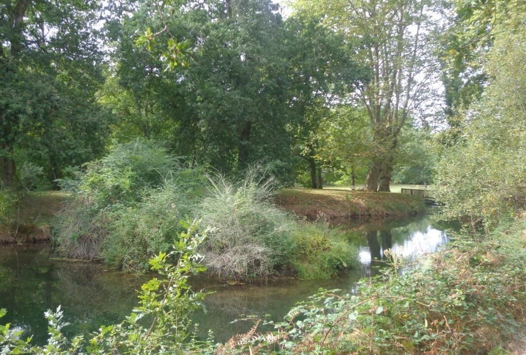 Photo of Others in Lesperon
