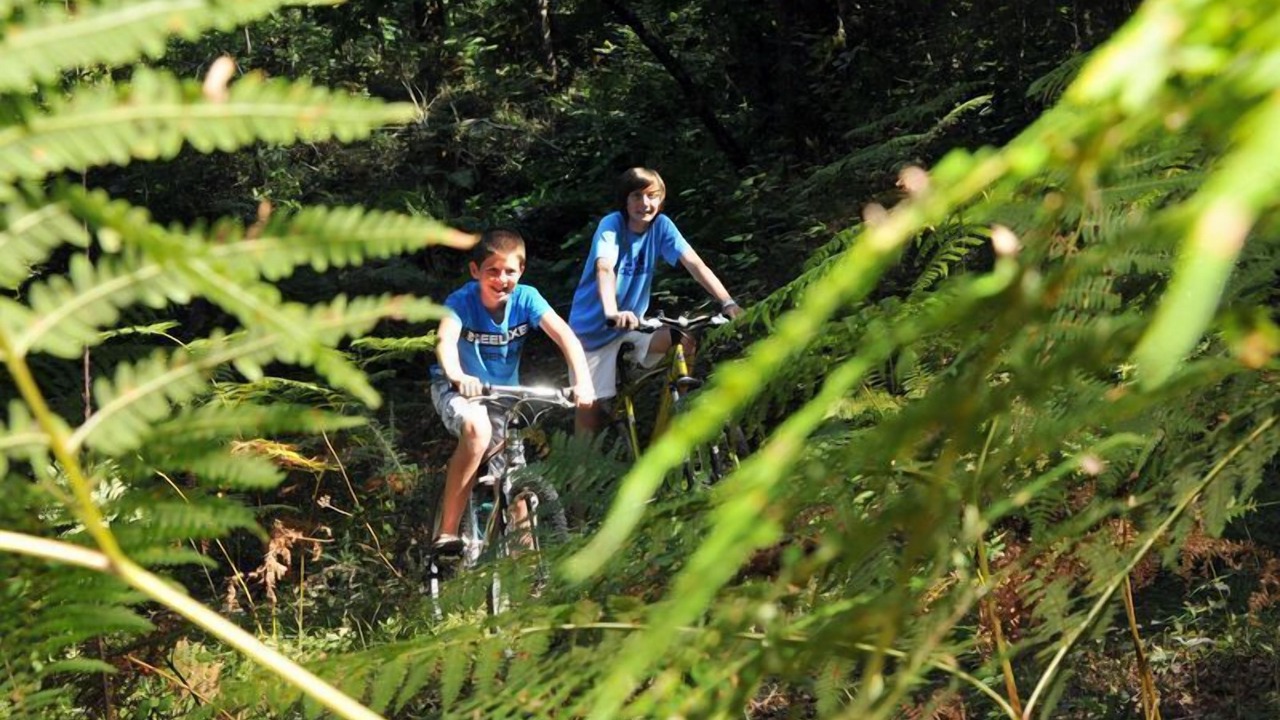 Photo of Others in Orist