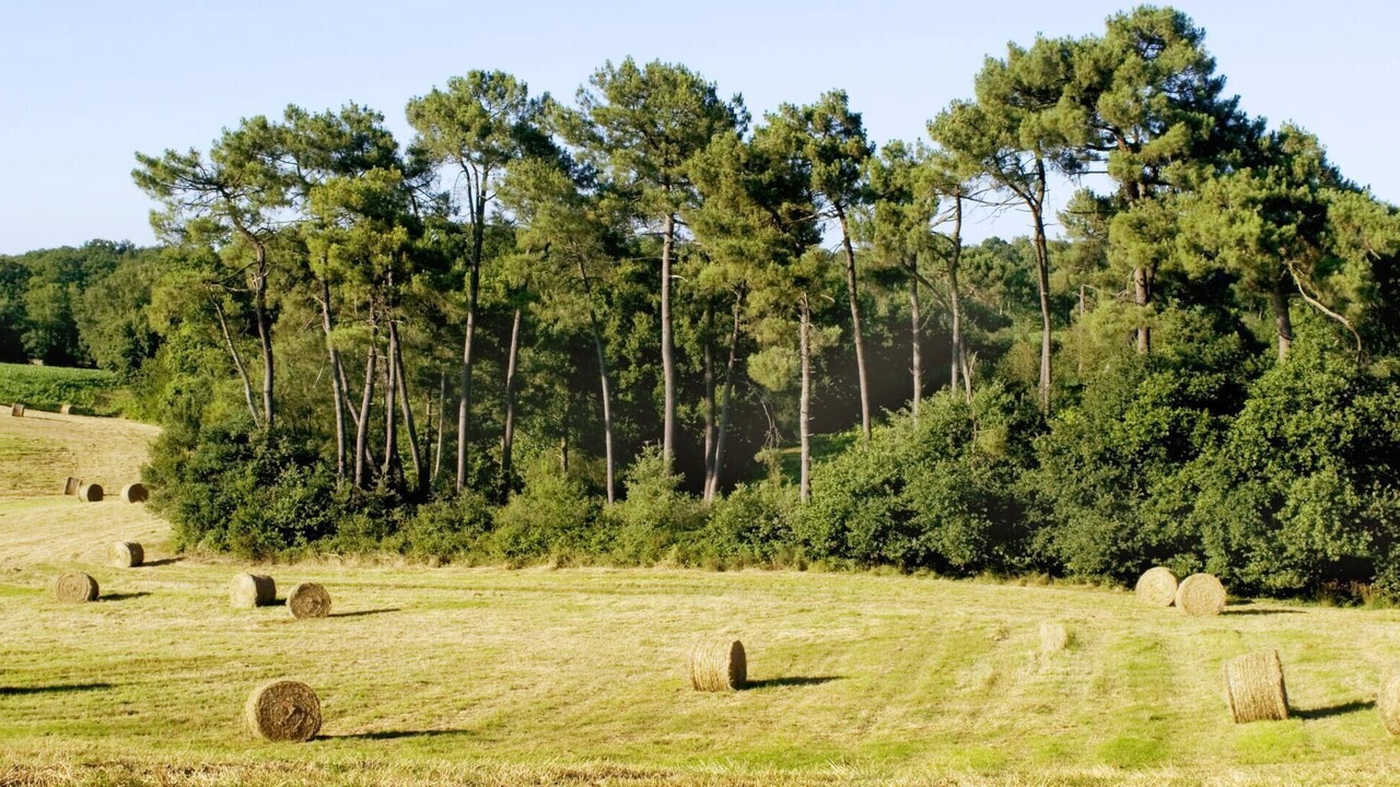 Photo of Others in Mugron