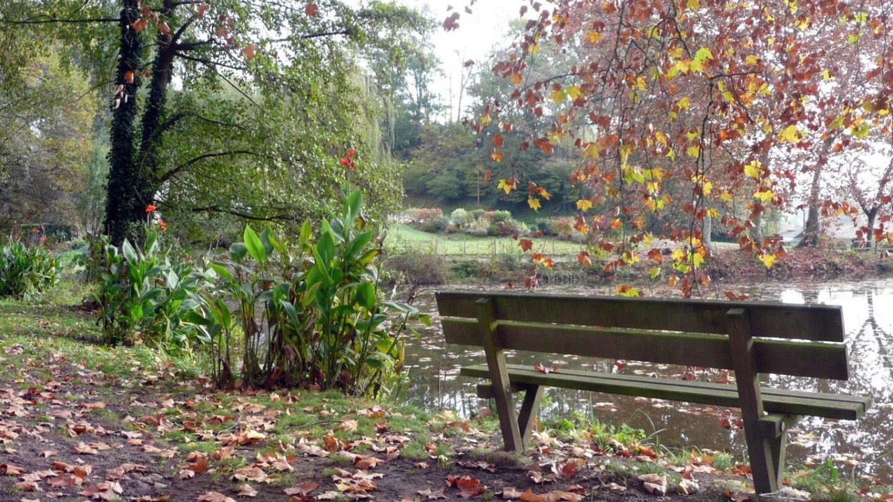 Photo of Outdoor in Sort-en-Chalosse