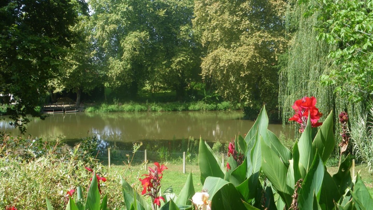 Photo of Outdoor in Sort-en-Chalosse