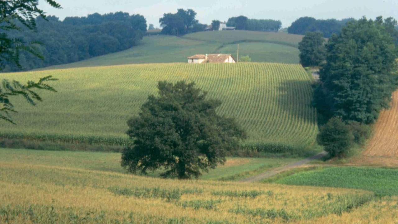 Photo of Others in Mugron