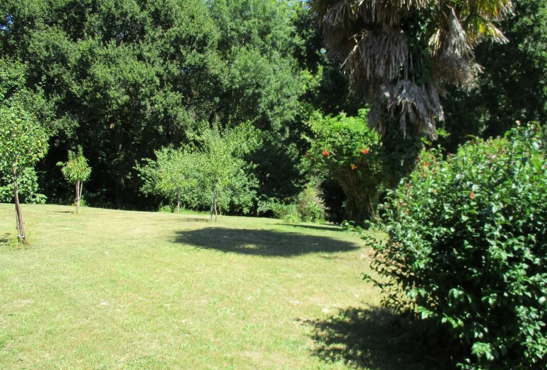 Photo of Outdoor in Saint-Martin-de-Seignanx