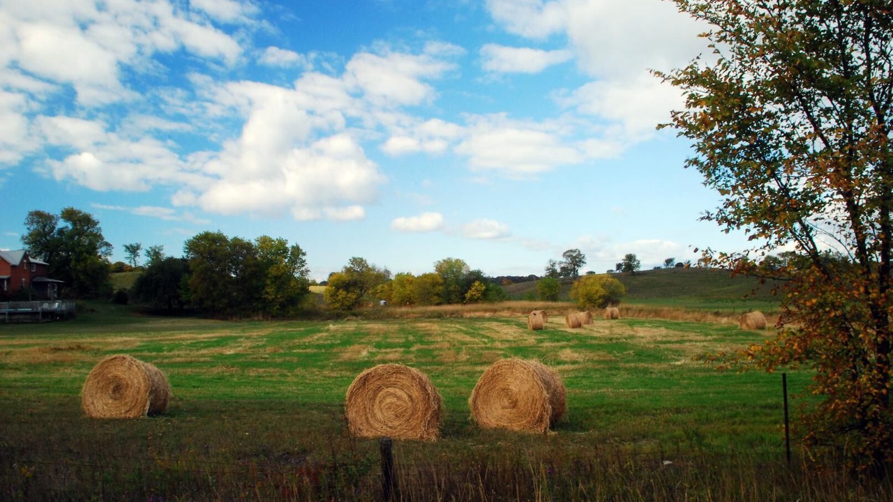Photo of Others in Benquet