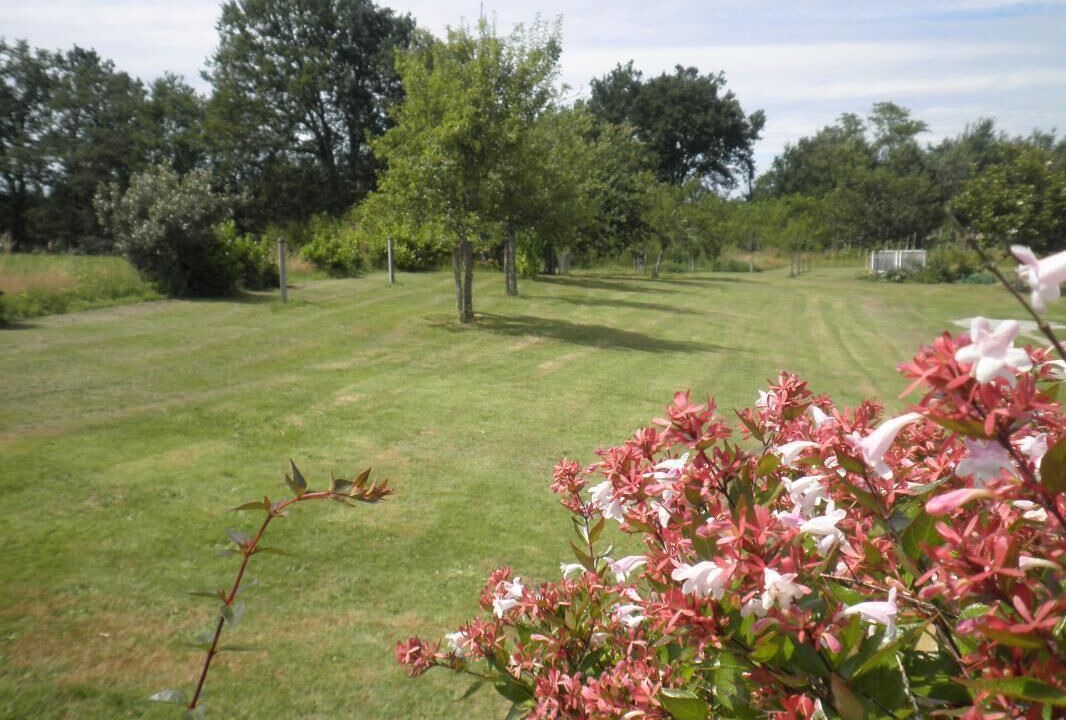 Photo of Outdoor in Oeyreluy