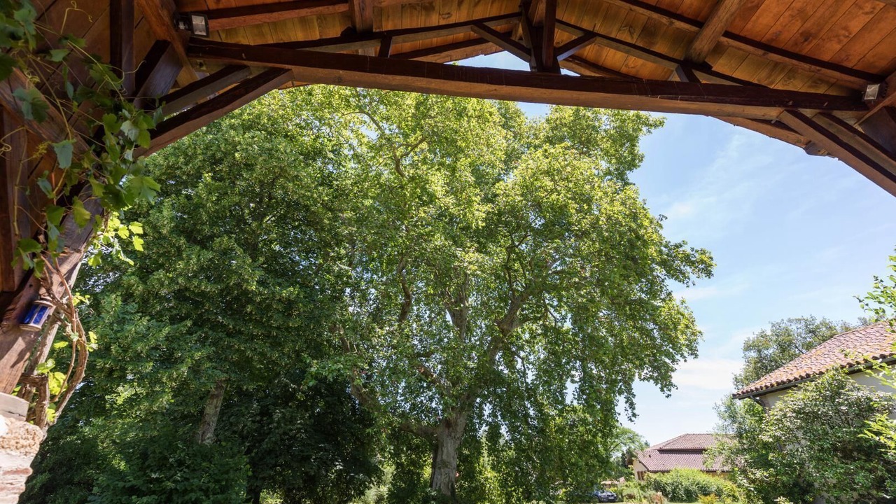 Photo of Outdoor in Belis
