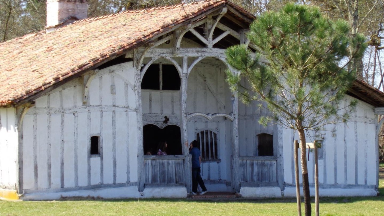 Photo of Outdoor in Brocas