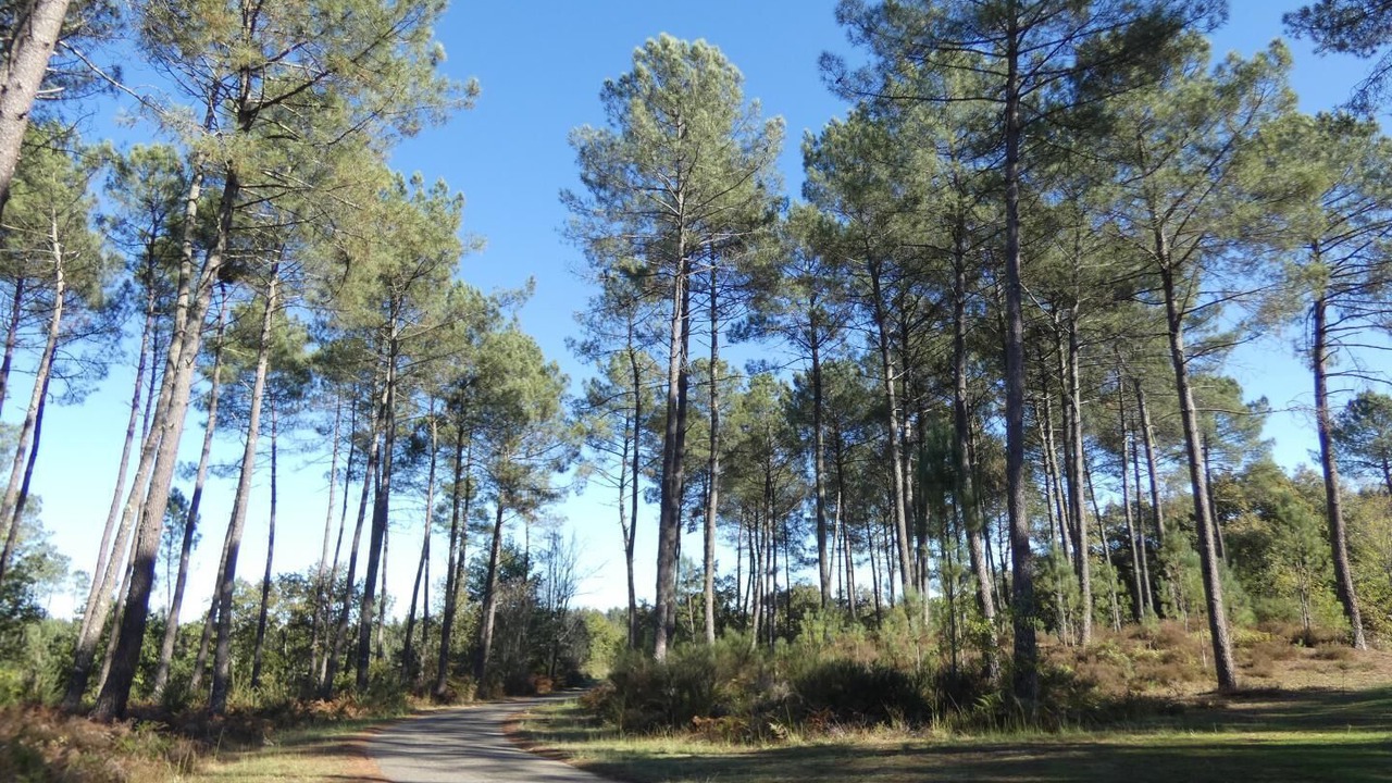 Photo of Outdoor in Brocas