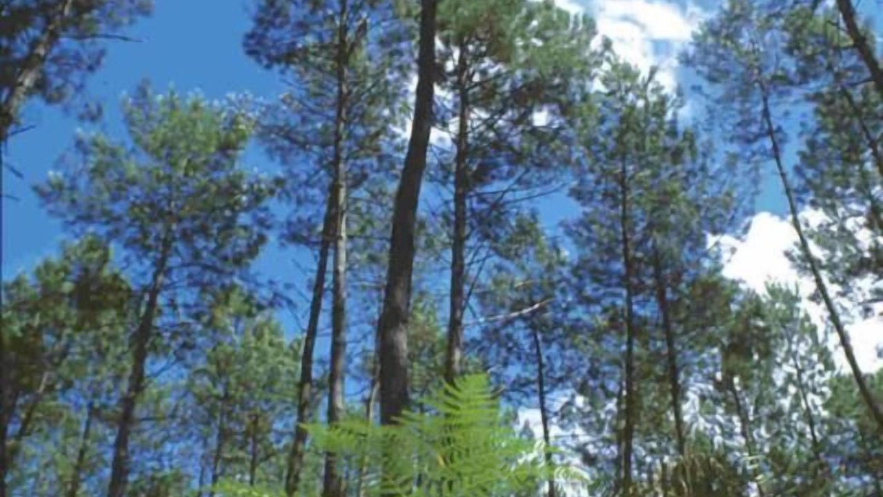 Photo of Outdoor in Benquet