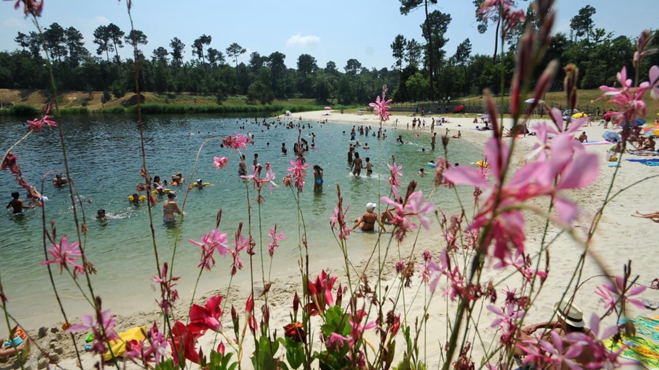 Photo of Others in Benquet