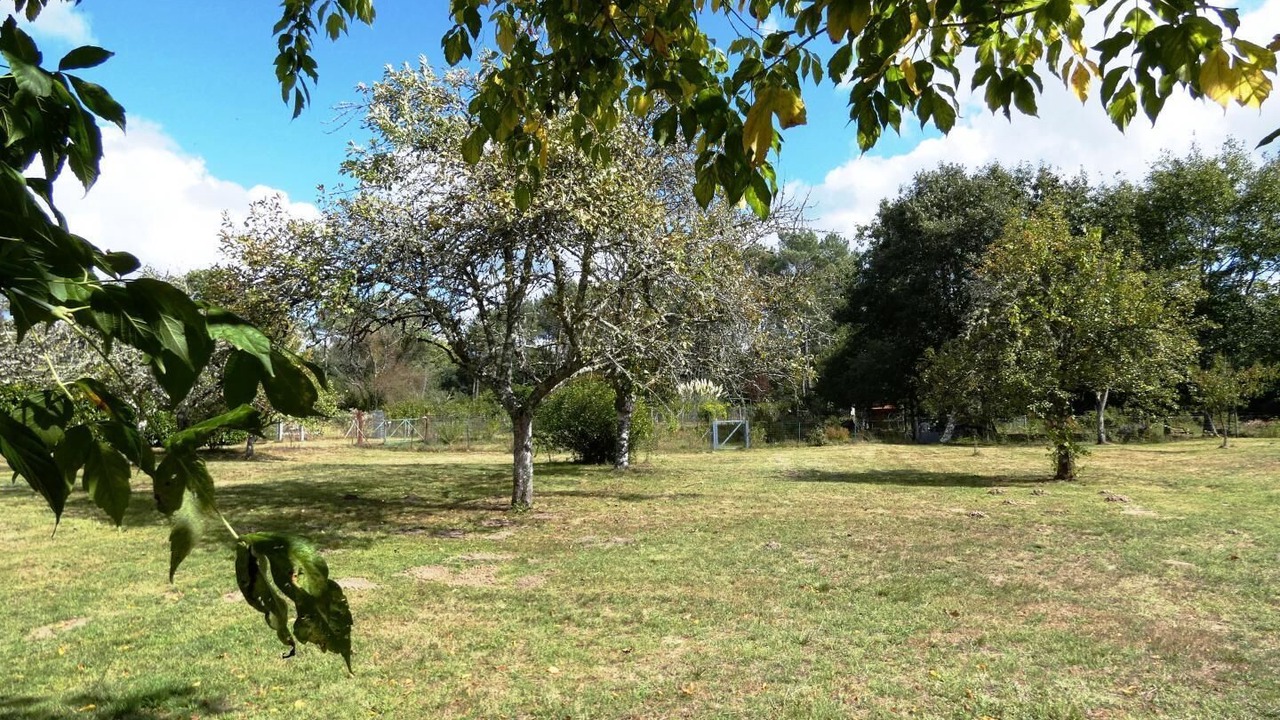 Photo of Outdoor in Vert