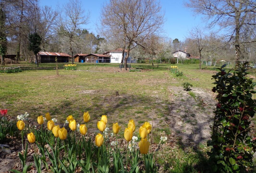 Photo of Outdoor in Vert