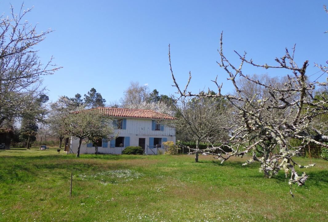Photo of Outdoor in Vert