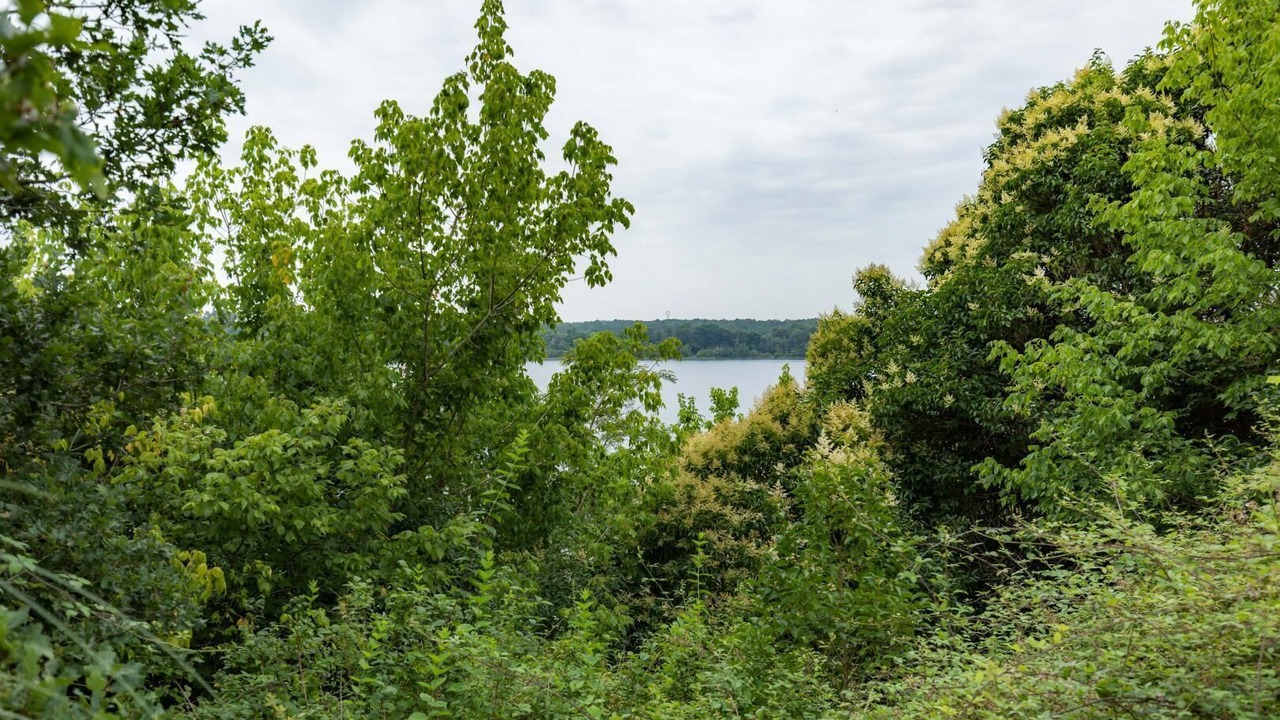 Photo of Others in Arjuzanx