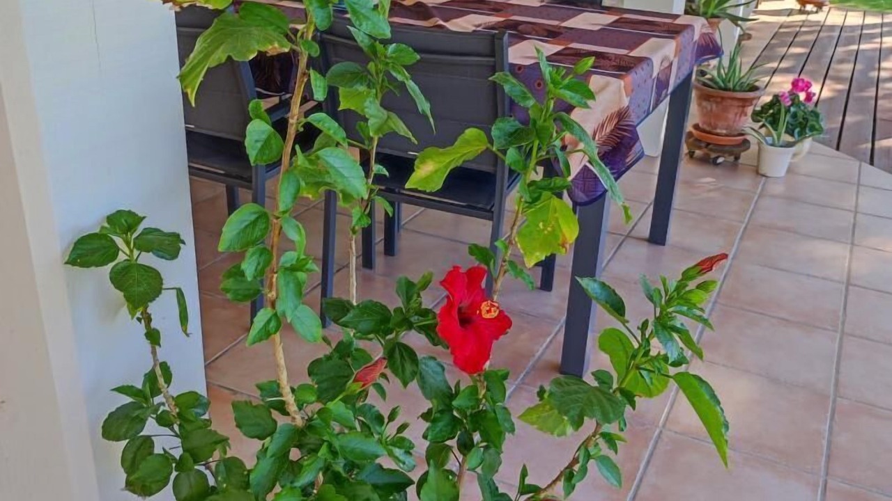 Photo of Outdoor in Onard