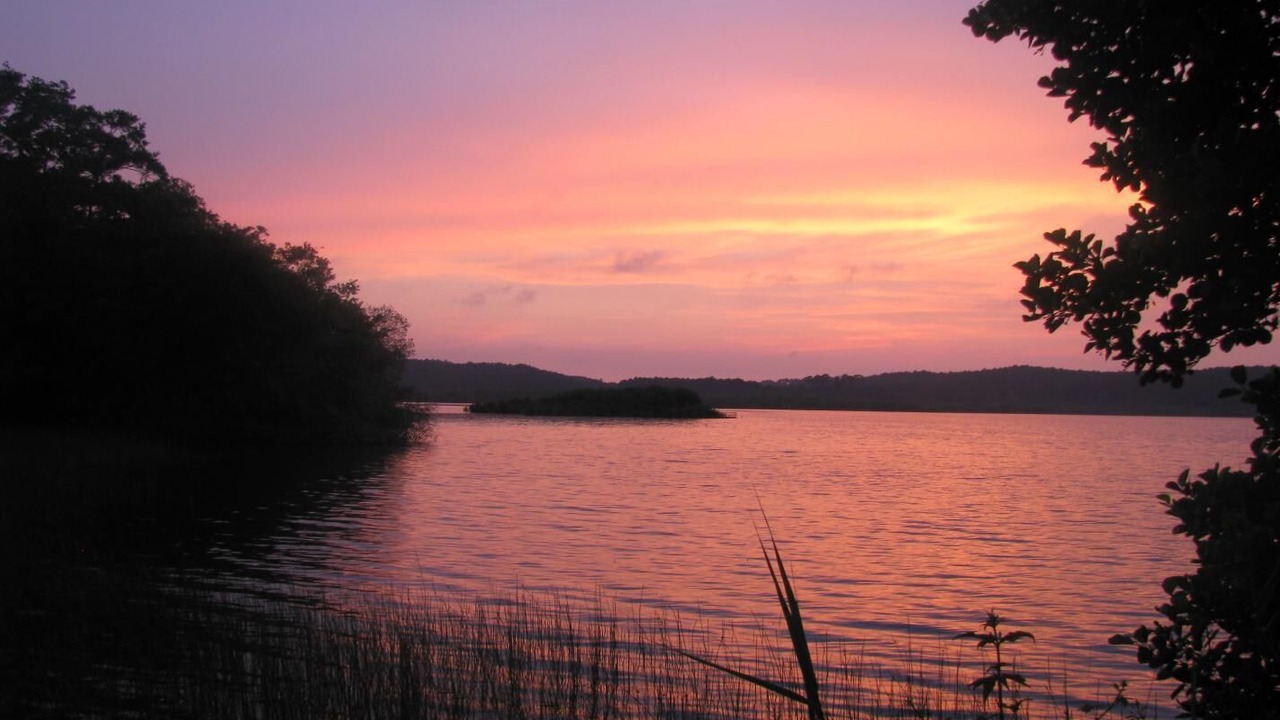 Photo of Others in Leon