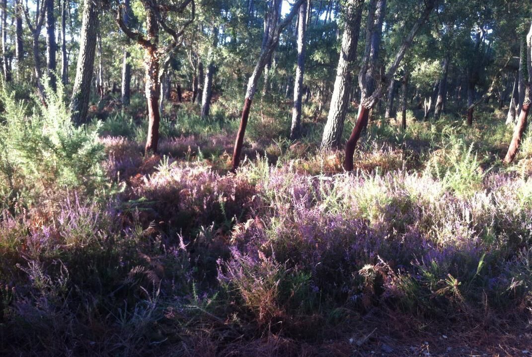 Photo of Others in Leon