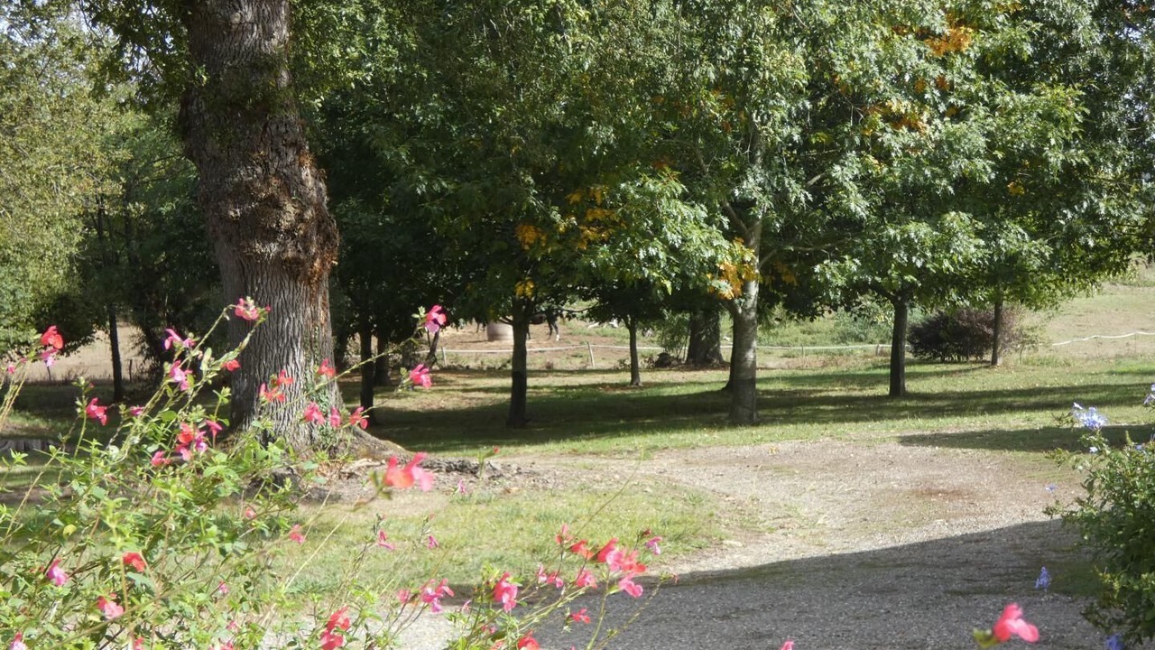 Photo of Outdoor in Horsarrieu