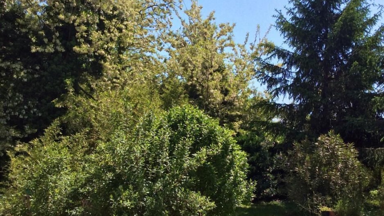 Photo of Outdoor in Hinx