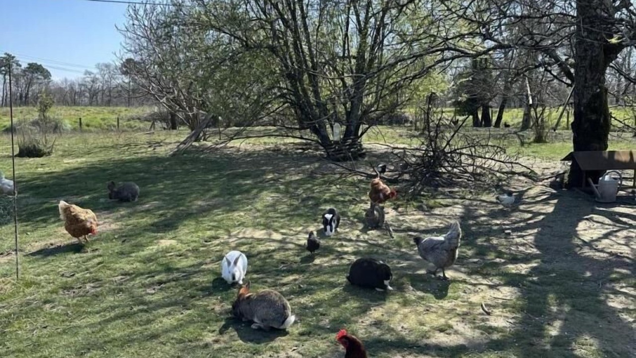 Photo of Others in Hinx