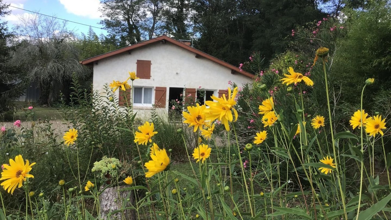 Photo of Outdoor in Hinx