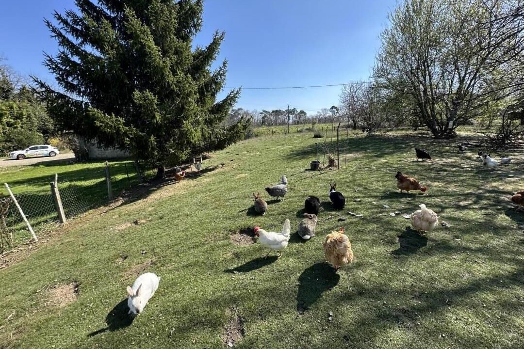 Photo of Outdoor in Hinx