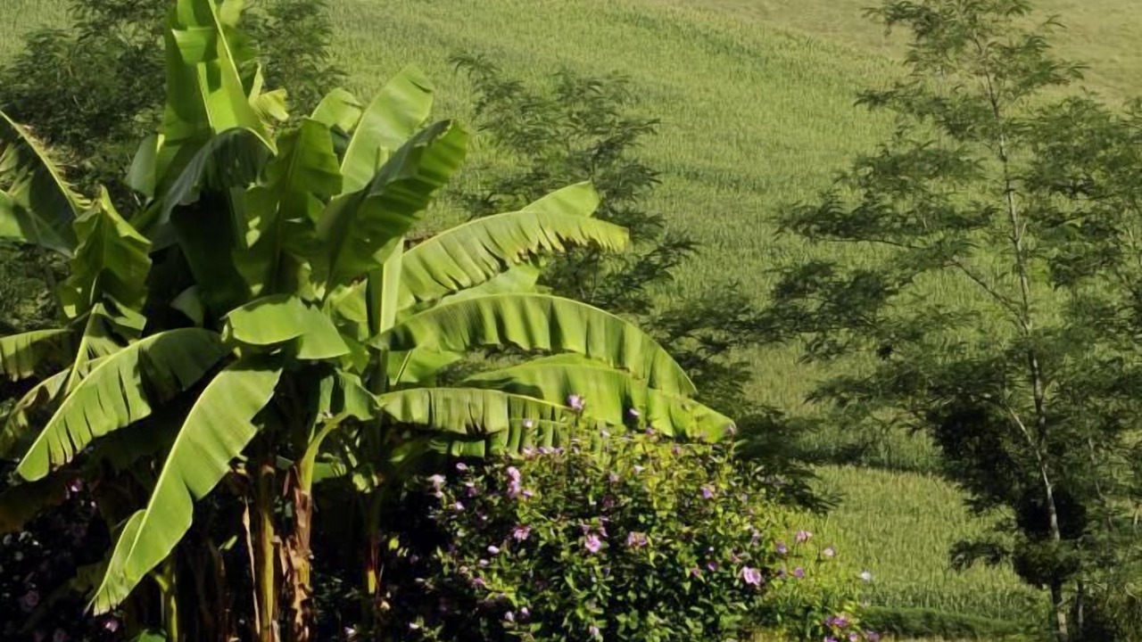 Photo of Others in Mugron