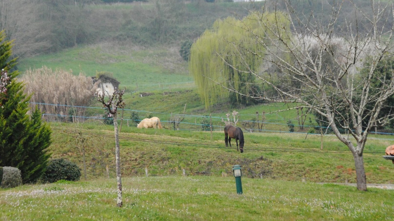 Photo of Others in Mugron