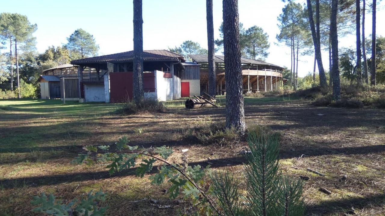 Photo of Outdoor in Brocas