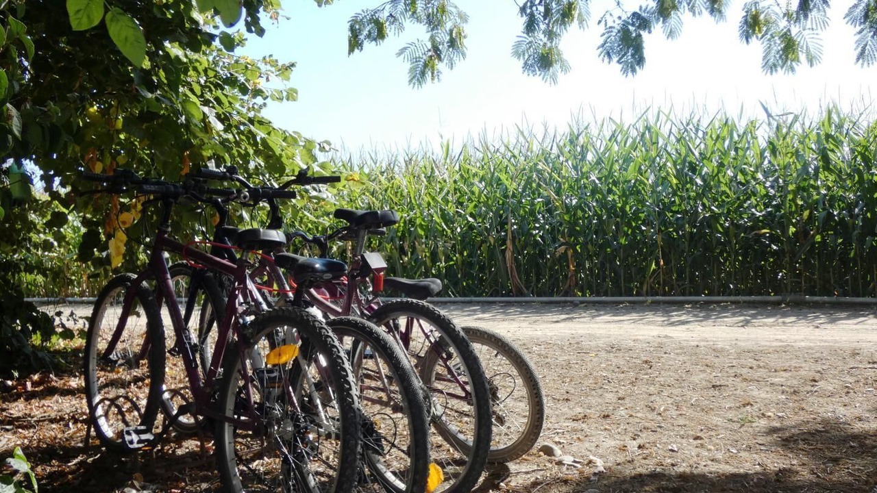 Photo of Outdoor in Augreilh