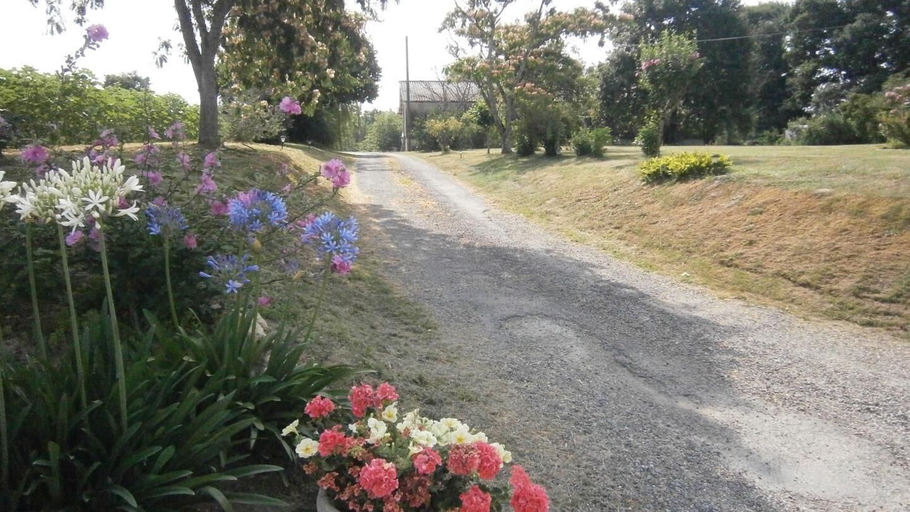 Photo of Outdoor in Saint Sever