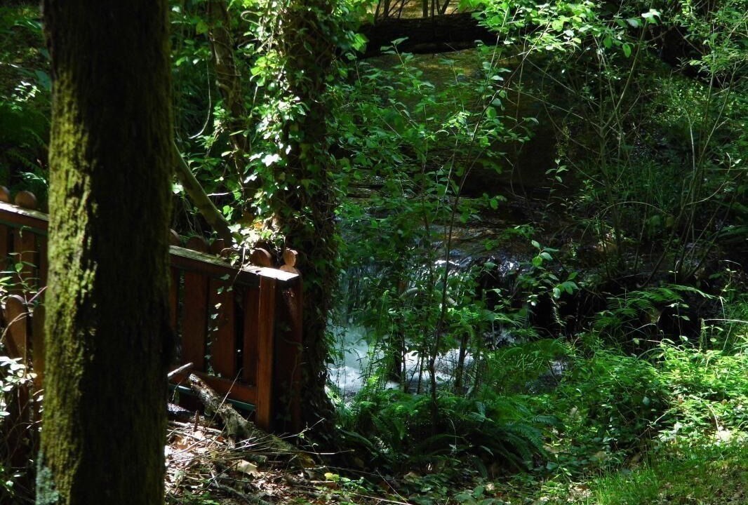 Photo of Outdoor in Gourbera