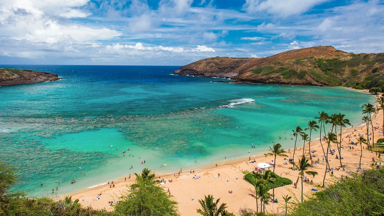 Photo of Others in Portlock