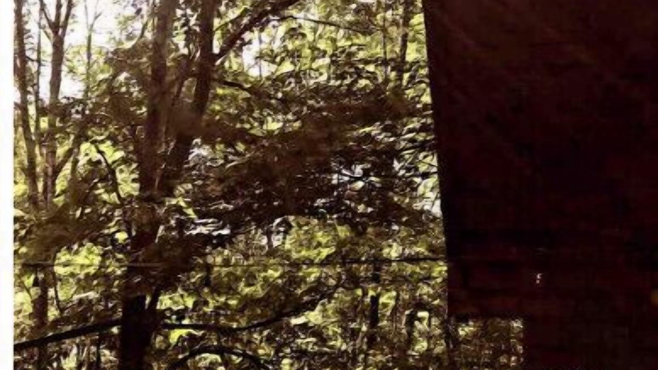 Photo of Outdoor in East Branch