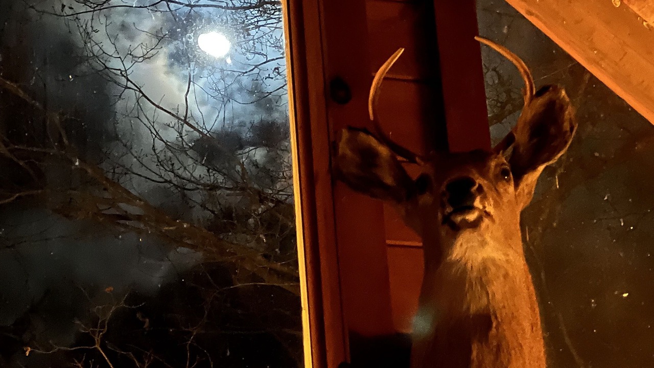 Photo of Others in East Branch