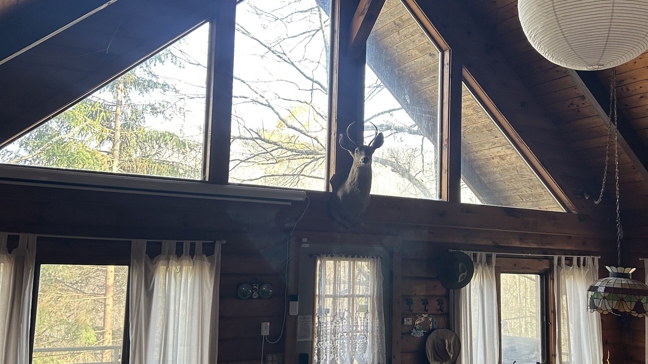 Photo of Others in East Branch