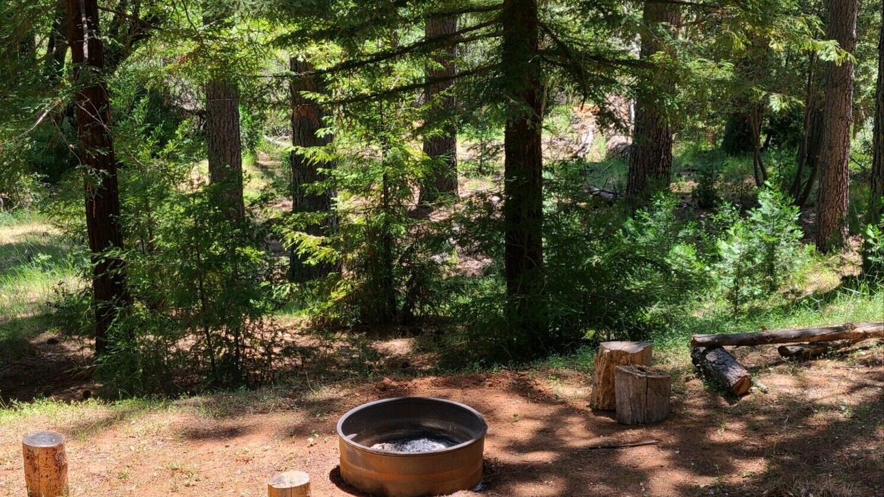 Photo of Outdoor in Murphys