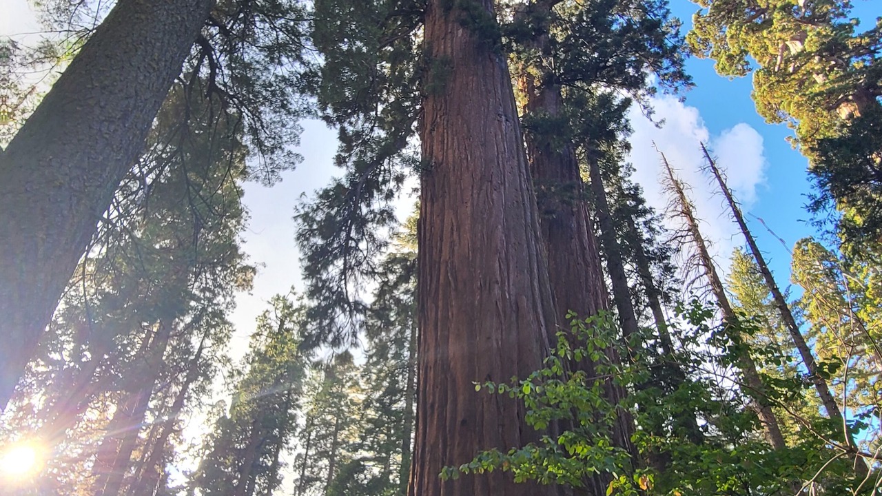 Photo of Others in Murphys