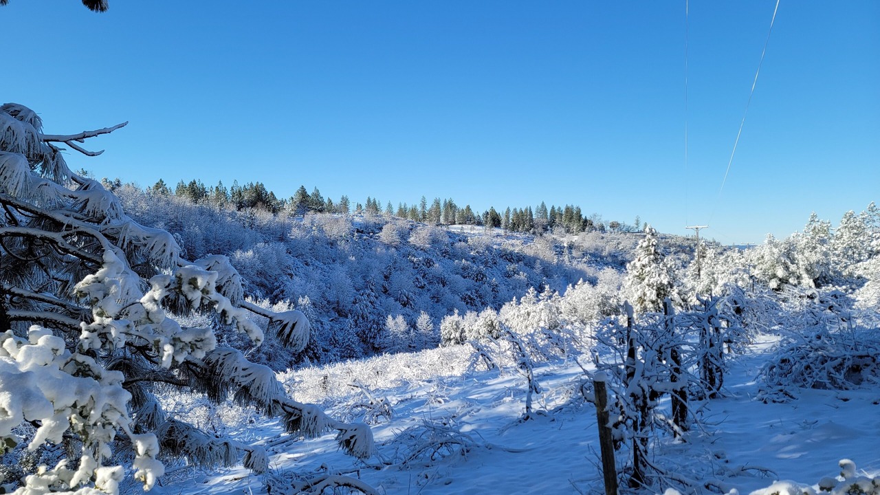Photo of Outdoor in Murphys