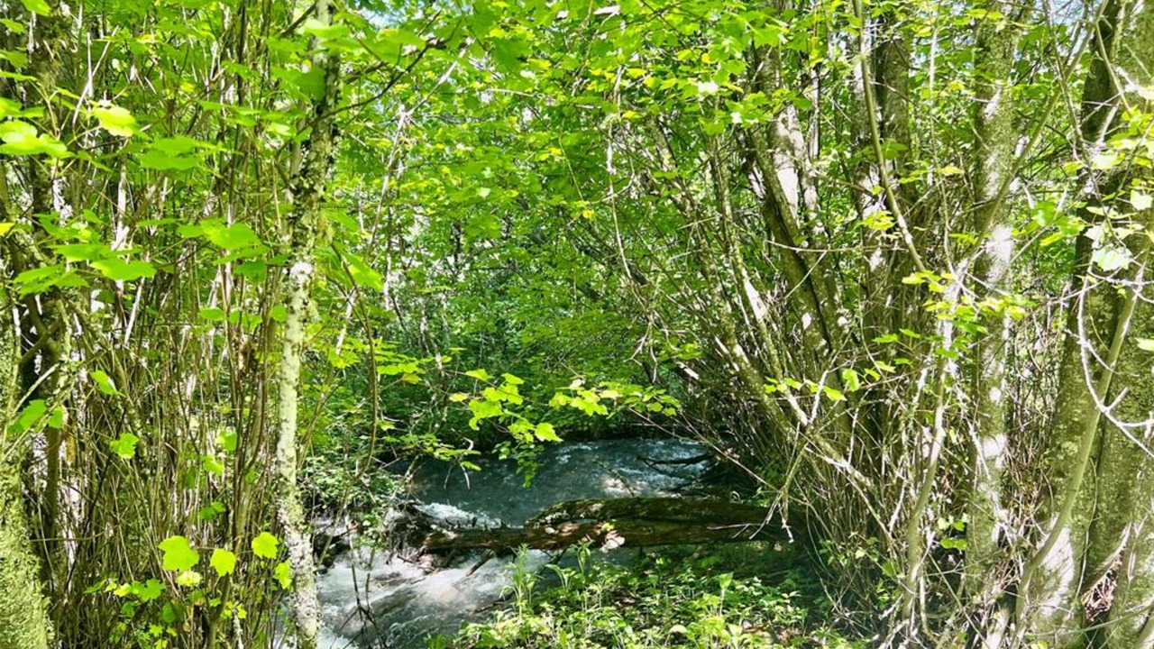 Photo of Outdoor in Ronan