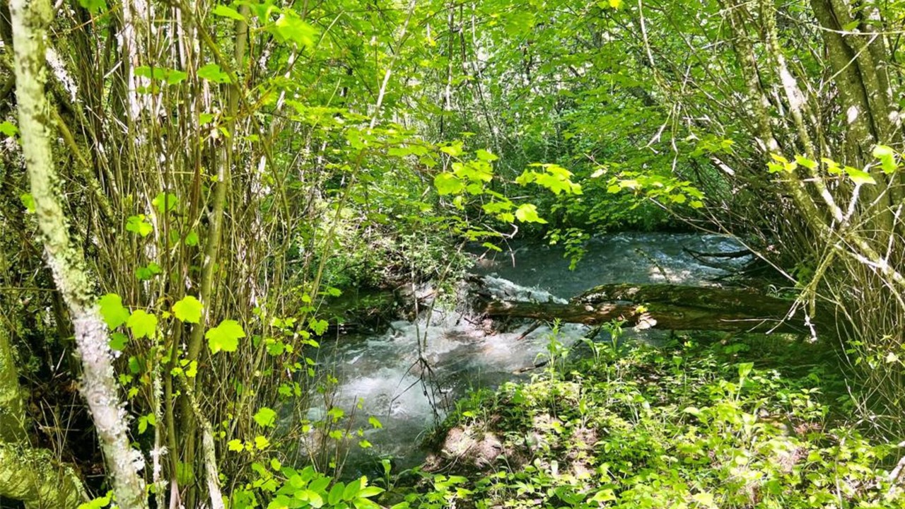 Photo of Outdoor in Ronan