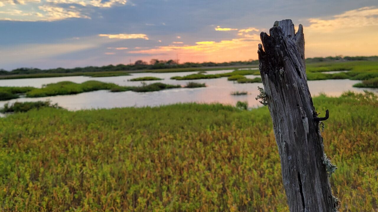 Photo of Others in Port Lavaca