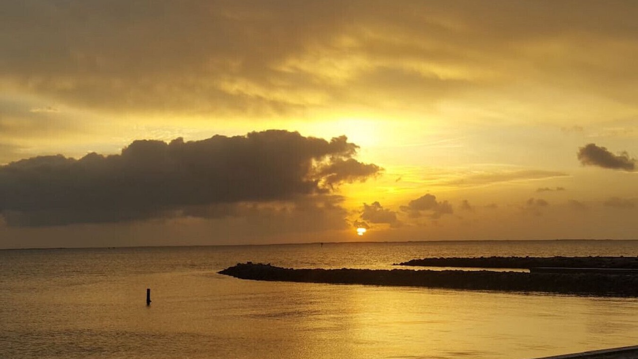 Photo of Others in Port Lavaca