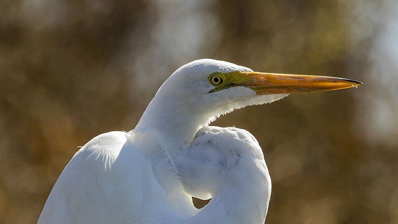Photo of Others in Port Lavaca