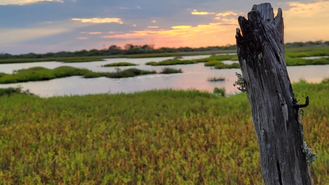 Photo of Others in Port Lavaca
