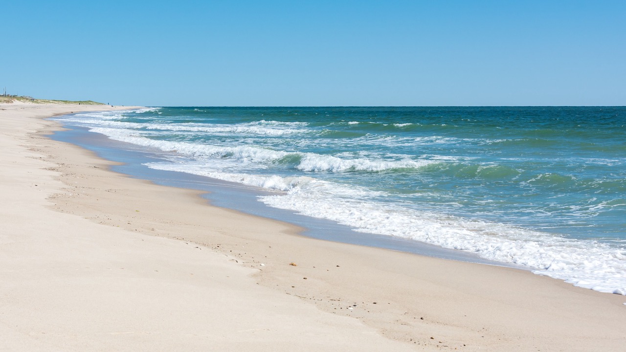 Photo of Others in East Orleans